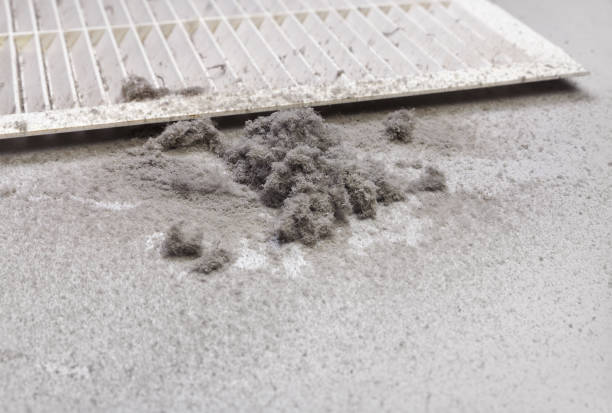 Best HVAC Air Duct Cleaning  in Alachua, FL
