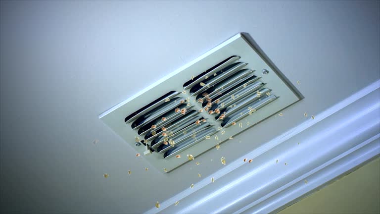 Best Affordable Duct Cleaning Services  in Alachua, FL