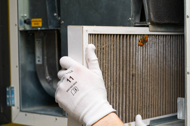 Best Residential Air Duct Cleaning  in Alachua, FL
