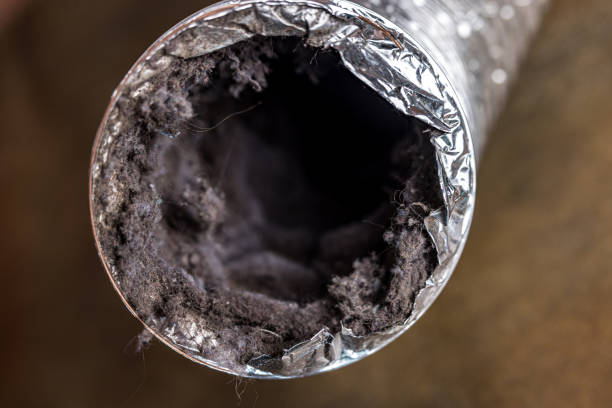 Best Emergency Air Duct Cleaning  in Alachua, FL